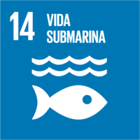 14. Vida Submarina